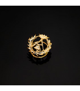 Insignia profesional Ingeniería Arquitectura - Pin profesiones y carreras universitarias. Emblema, escudo de oro arquitecto