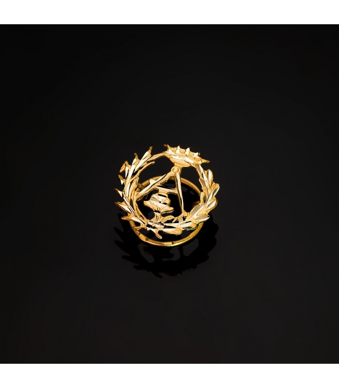 Distintivo Architettura oro 18kt, regalo laurea per architetto. Pin, badge, Spilla da bavero carriera universitaria.