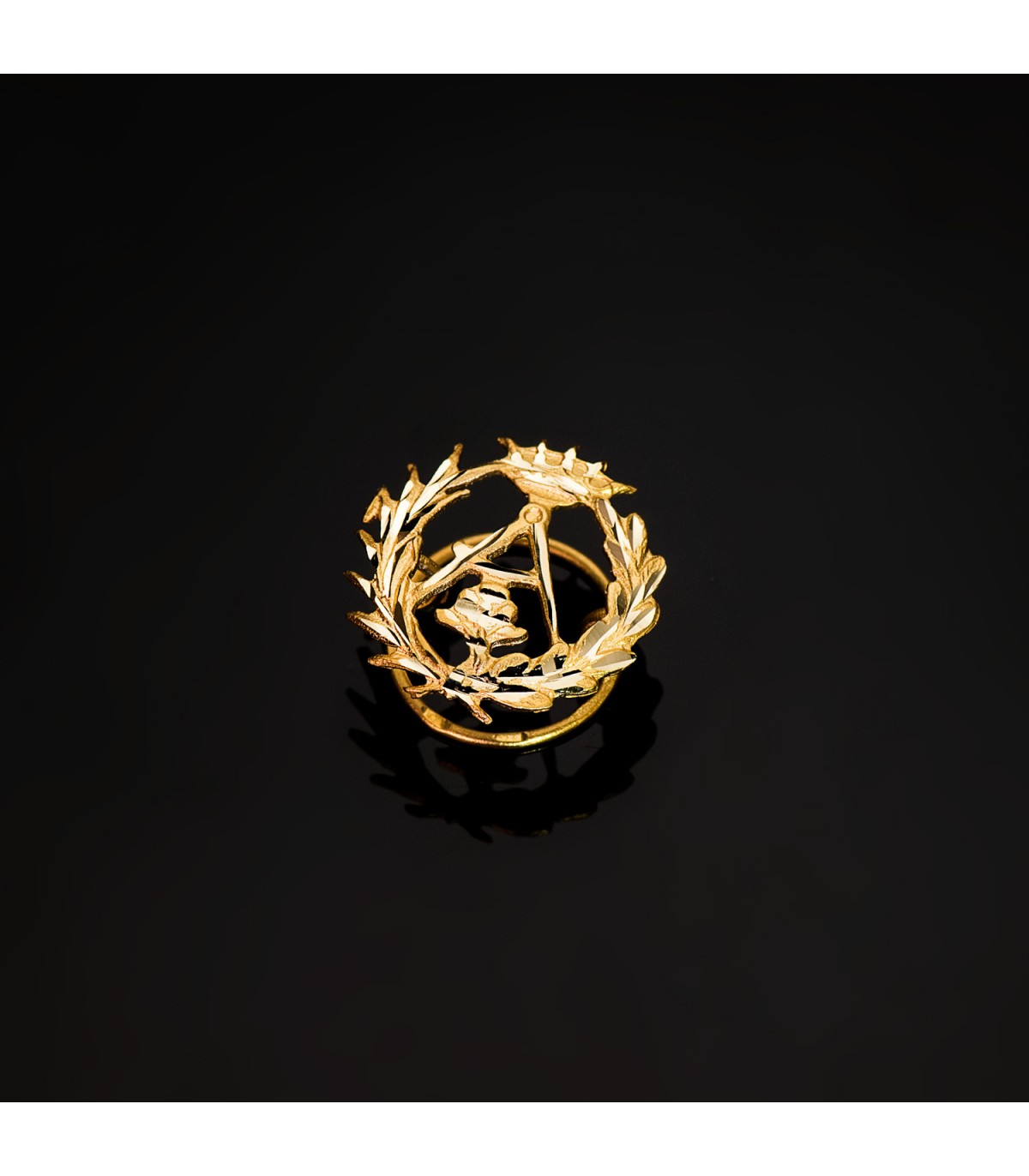Insignia profesional Ingeniería Arquitectura - Pin profesiones y carreras universitarias. Emblema, escudo de oro arquitecto