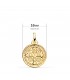 Cruz de San Benito Oro 18K Mate y Brillo 16mm - Medallas y escapularios.