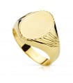 Siegelring in Gold 375 9K19160
