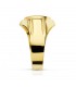 Siegelring in Gold 375 9K5492