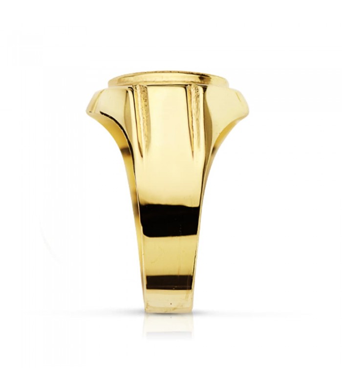 Siegelring in Gold 375 9K5492