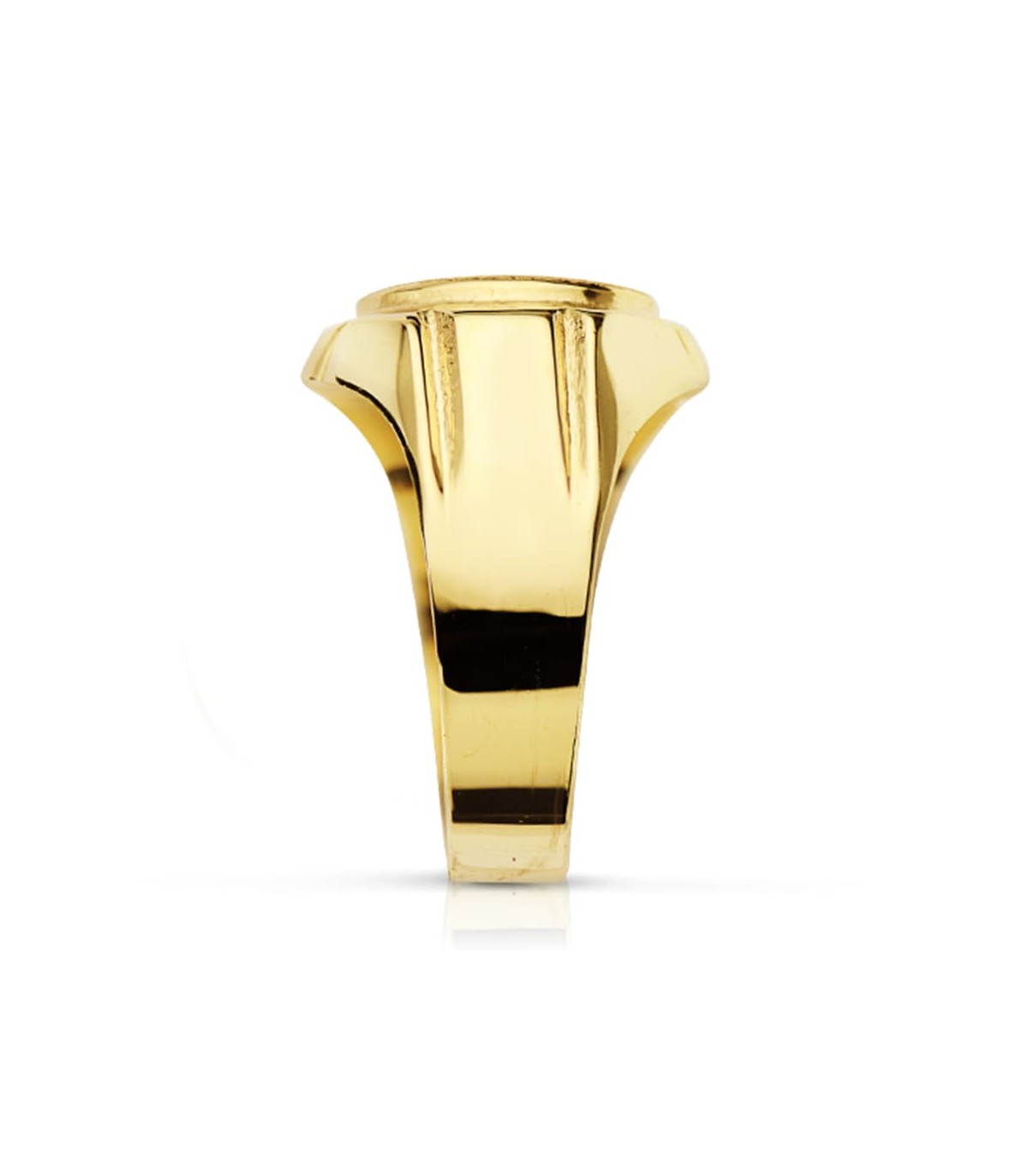 Siegelring in Gold 375 9K5492