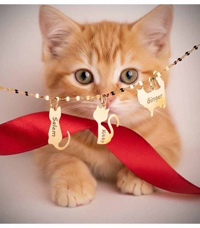 Personalisierter Anhänger Langhaarige Katze Gold 18K