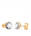 Puces d'oreilles griffes 6 mm Vigo Or 18K