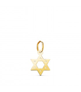 Pendentif avec Étoile de David en or jaune 18 K 12 mm — Pendentifs porte-bonheur