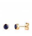 Solitär Ohrstecker 585 Gelbgold | Noly 4mm Blau