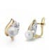 Pendientes oro BI Procesa