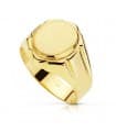 Siegelring in Gold 750 19213
