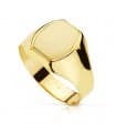 Siegelring in Gold 750 19216