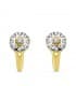 Pendientes oro bicolor Florida 18 Ktes