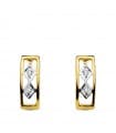 Pendientes oro bicolor Nuria 18 Ktes