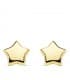 Damenohrstecker mit Sternmotiv und poliert - Ohrringe 18K Gold 18876 Stern