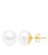 Boucles d'oreilles en perles australiennes Acantha 18 Kt