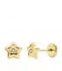 Pendientes Estrella Circonita 7 MM 18 K