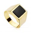Siegelring in Gold 750 19492