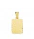 Chapa Tallada Rectangular Oro Amarillo 18 K 20 MM