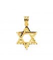 Colgante Estrella de David Oro Amarillo 18k