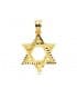 Colgante Estrella de David Oro Amarillo 18k 20mm