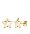 Ohrringe 750 Gold 21034 Stern