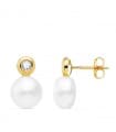 Ohrringe 750 Gold n4219-8ap