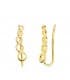 Pendientes Trepadores Círculos Oro 18K