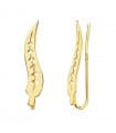 Grimpeurs d'oreilles Feuille Saule Or 18K