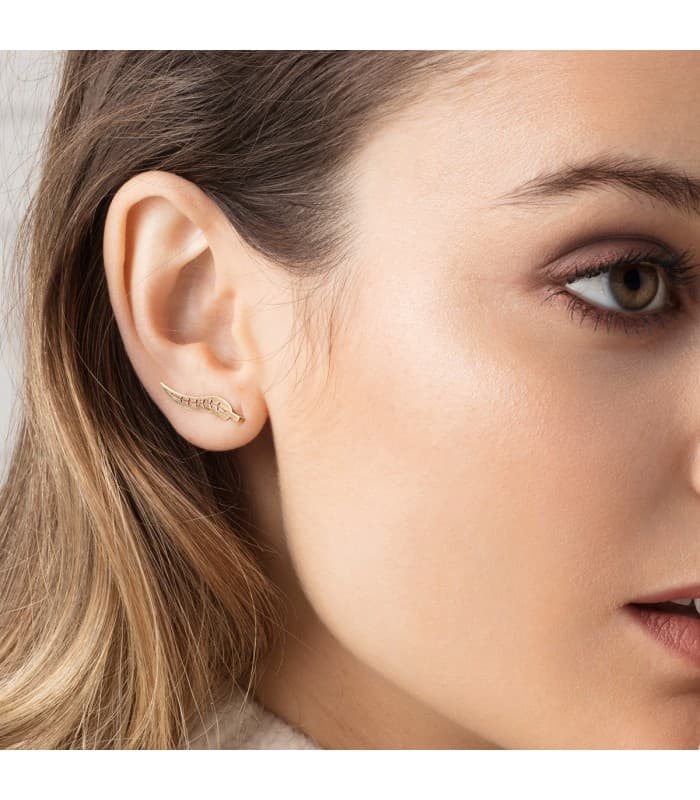 Grimpeurs d'oreilles Feuille Saule Or 18K