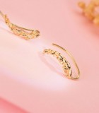 Grimpeurs d'oreilles