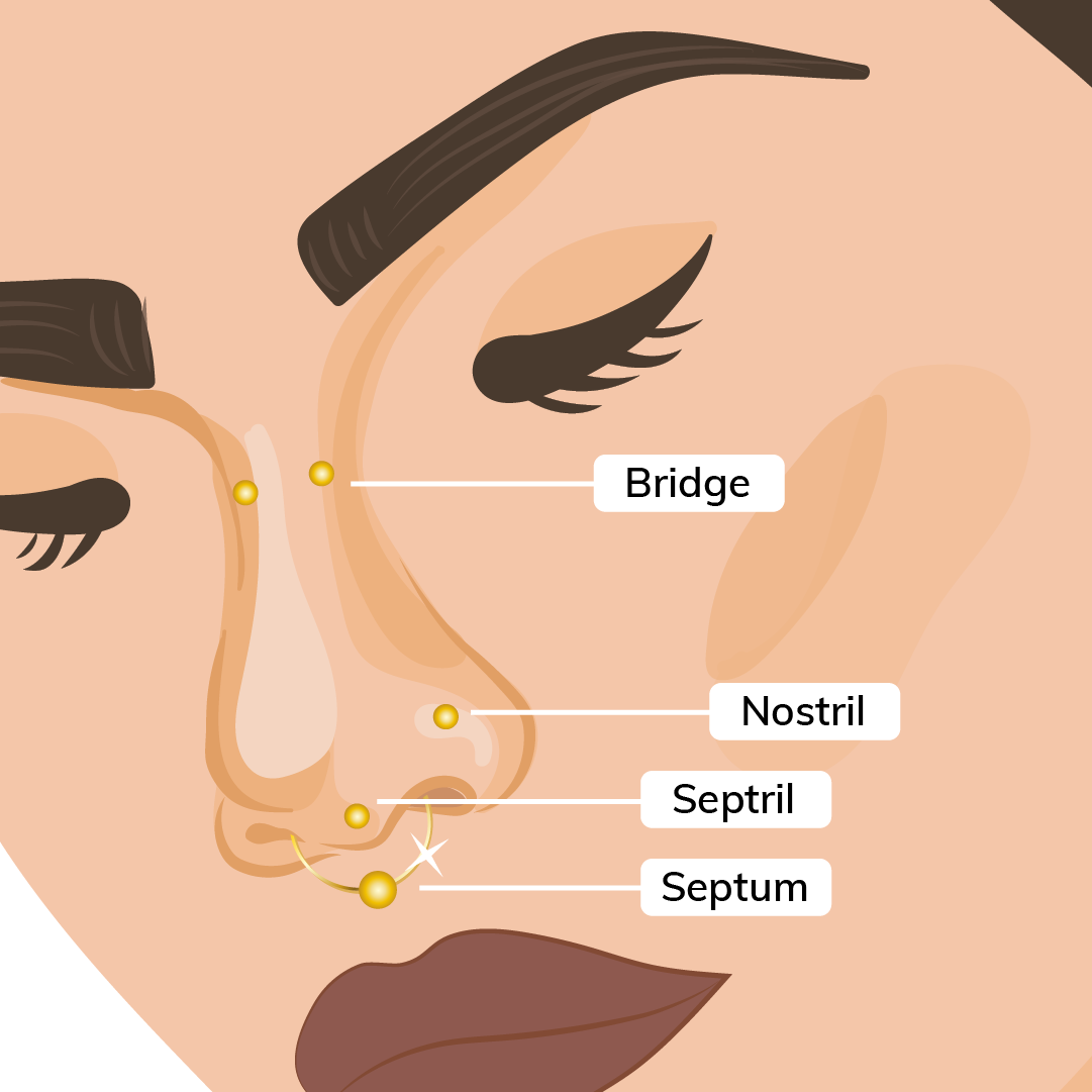 tipos de piercings de nariz, piercing nariz oro, ilustración piercing